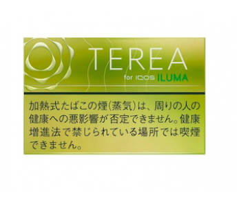 TEREA BRIGHT MENTHOL ПАЧКА (FOR IQOS ILUMA) (ЯПОНИЯ)